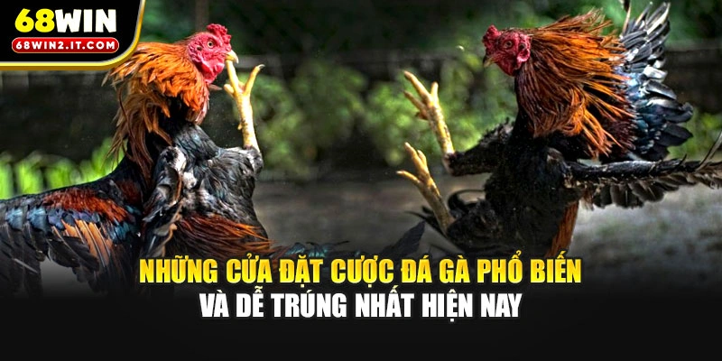 Những cửa đặt cược đá gà phổ biến và dễ trúng nhất hiện nay
