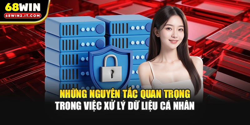 Những nguyên tắc quan trọng trong việc xử lý dữ liệu cá nhân